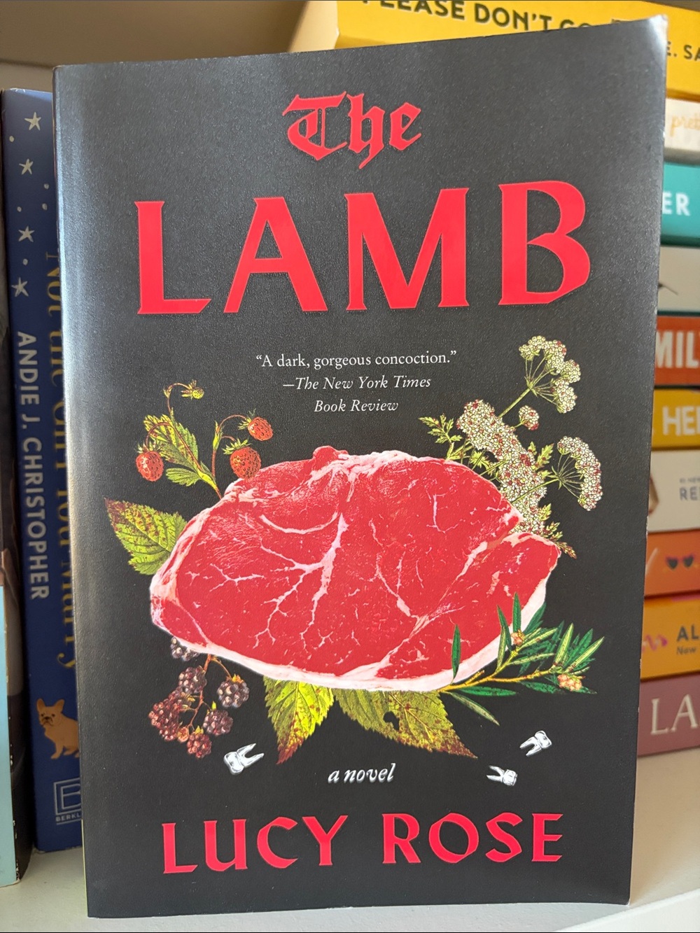 The Lamb Paperback Book - Black & Red Cover